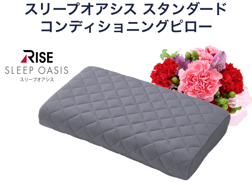 スリープオアシス スタンダード コンディショニングピロー