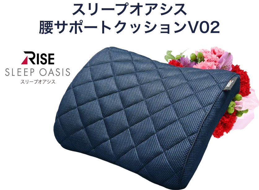 スリープオアシス 腰サポートクッションV02