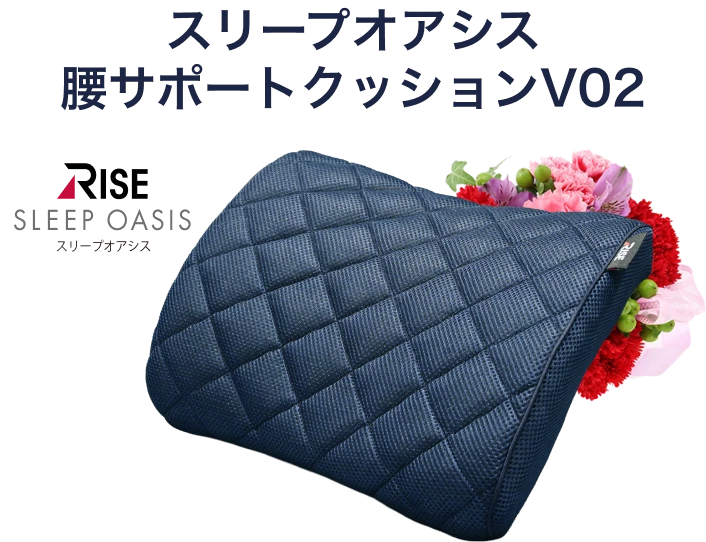 スリープオアシス 腰サポートクッションV02