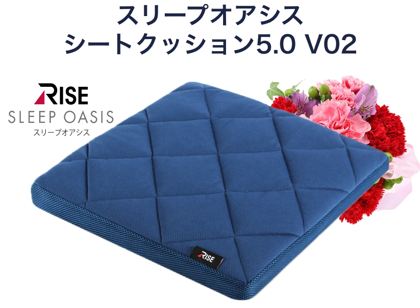 スリープオアシス シートクッション5.0 V02