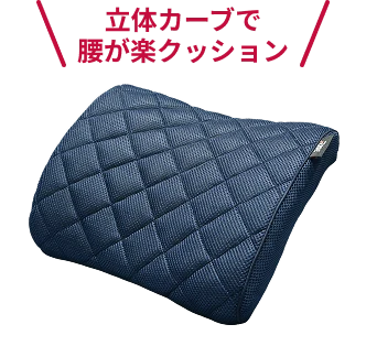 スリープオアシス 腰サポートクッションV02