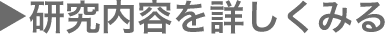 研究内容を詳しくみる