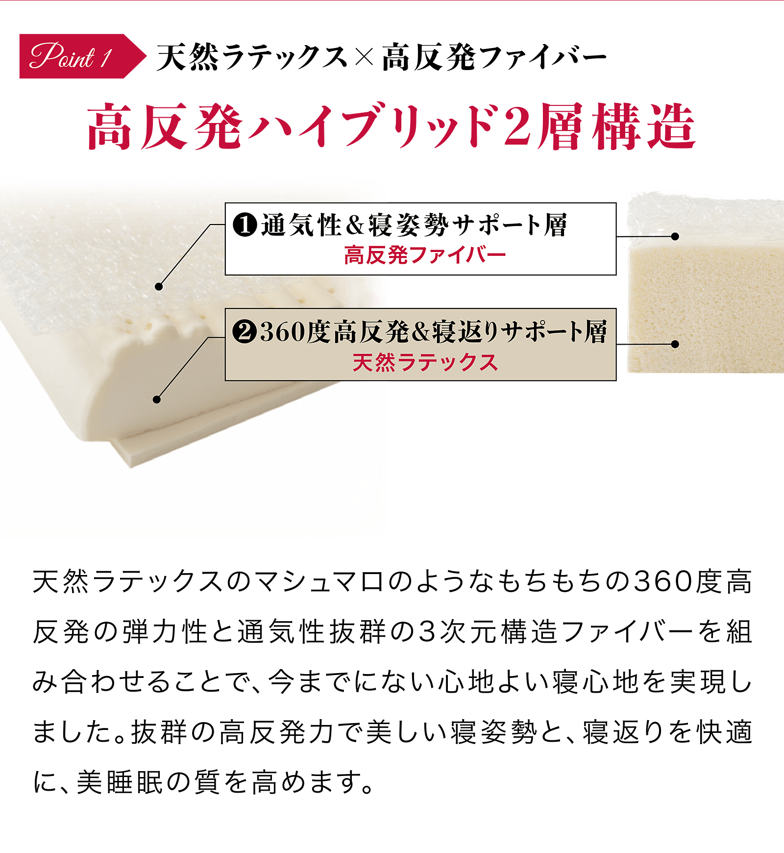 天然ラテックス×高反発ファイバー 高反発ハイブリッド2層構造