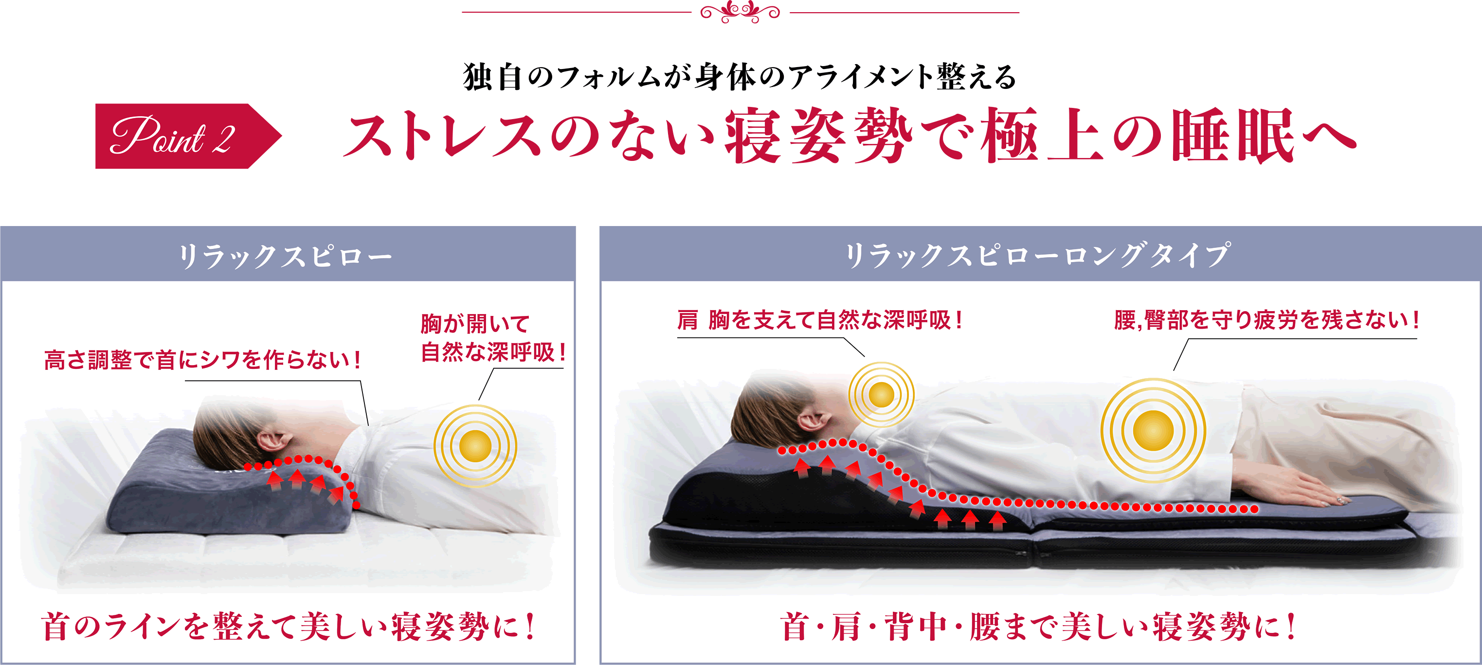 独自の美睡眠フォルムが身体のアライメント整える ストレスのない寝姿勢で極上の睡眠へ