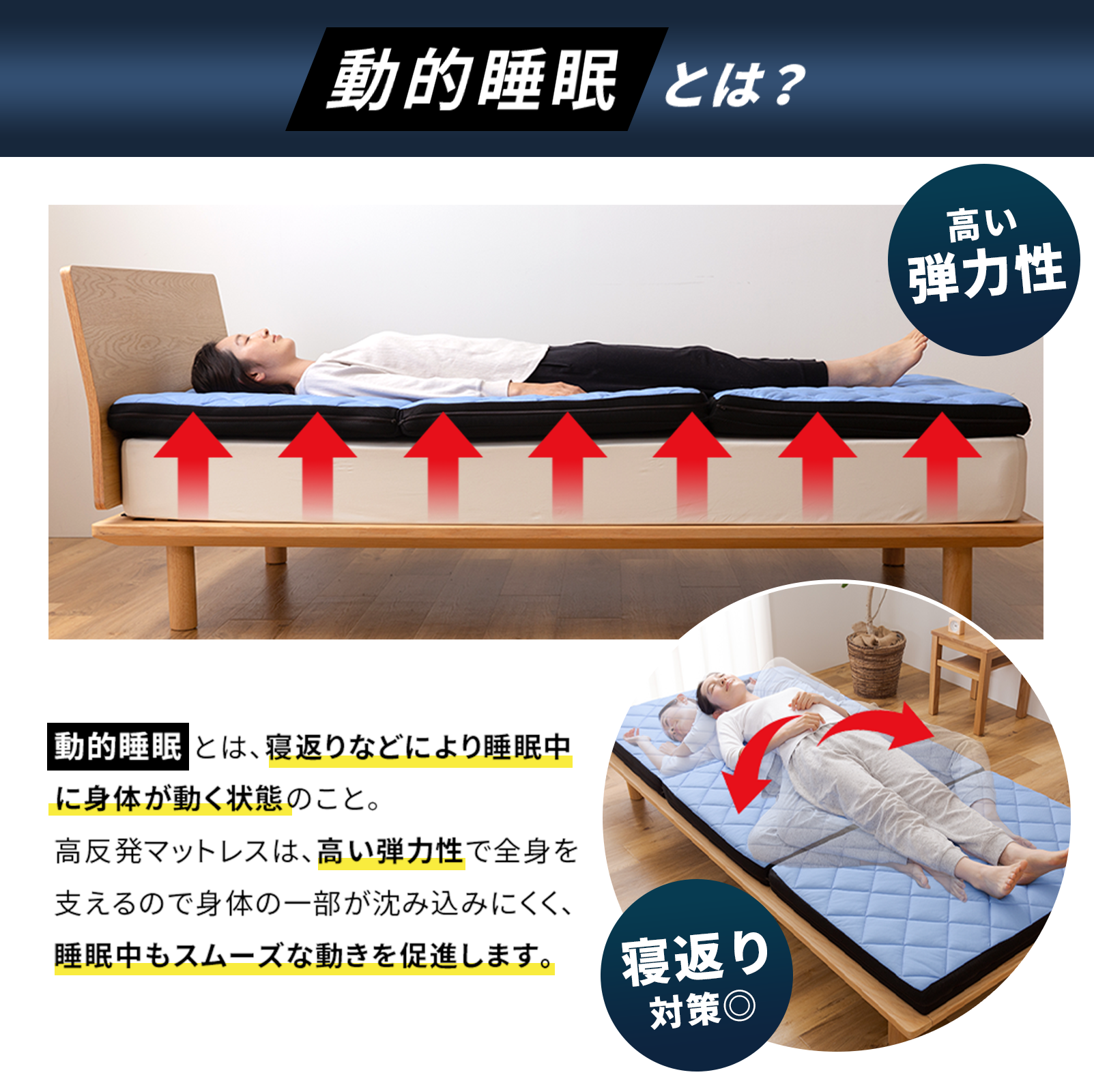 動的睡眠とは？