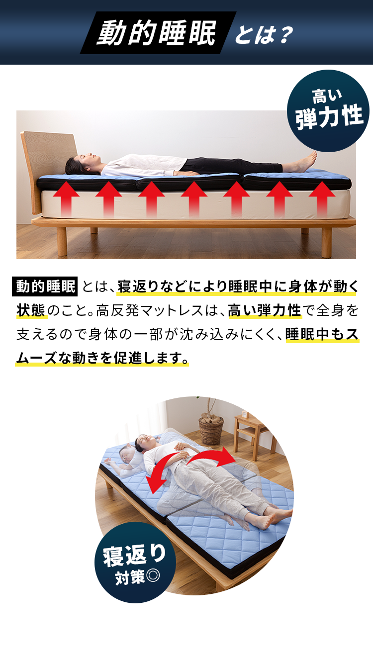 動的睡眠とは？