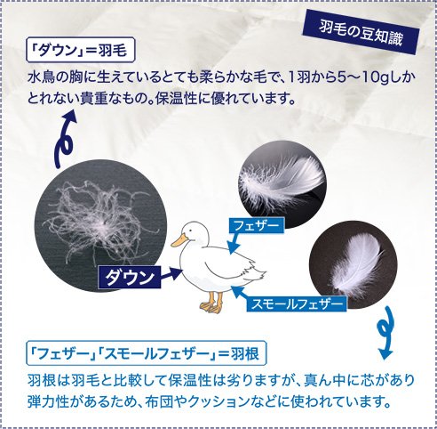 四季のある日本に合わせた快眠設計