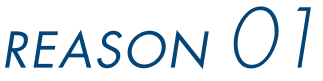 REASON 01