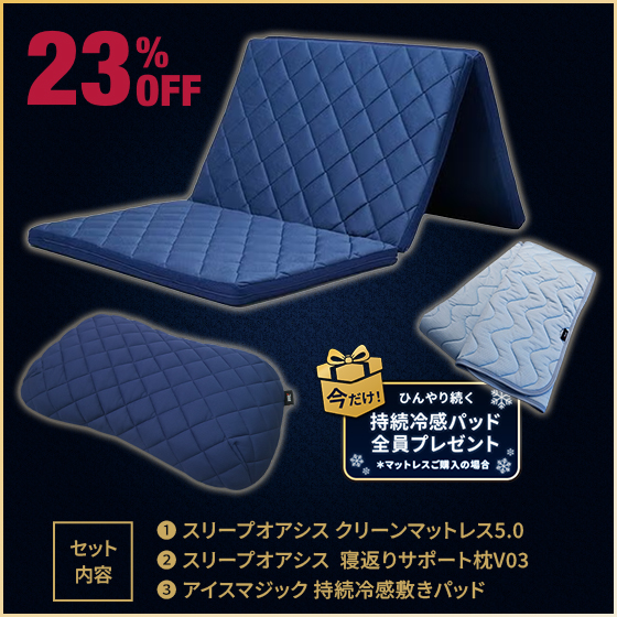 青学駅伝式 スリープオアシス動的睡眠マットレス＆寝返りサポート枕2点セット