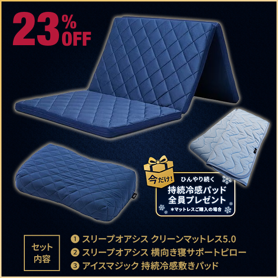 青学駅伝式 スリープオアシス動的睡眠マットレス＆横向き寝サポート枕2点セット