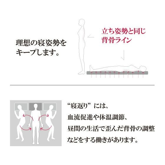 ゼログラビティ マットレス兼用敷布団 6.0【シングル】 | 高反発
